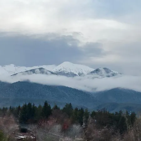 Apartment Cozy Stylish 2-bedroom Near Road, 5min To Gondola & Bars