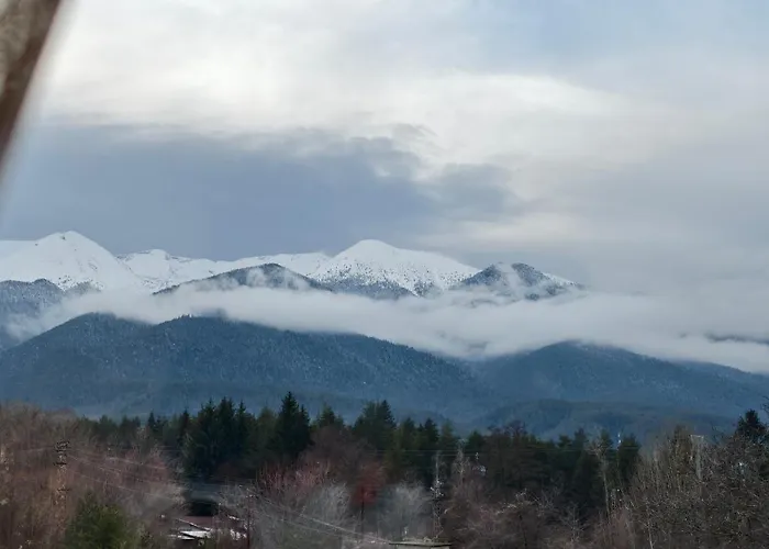 Apartment Cozy Stylish 2-bedroom Near Road, 5min To Gondola & Bars